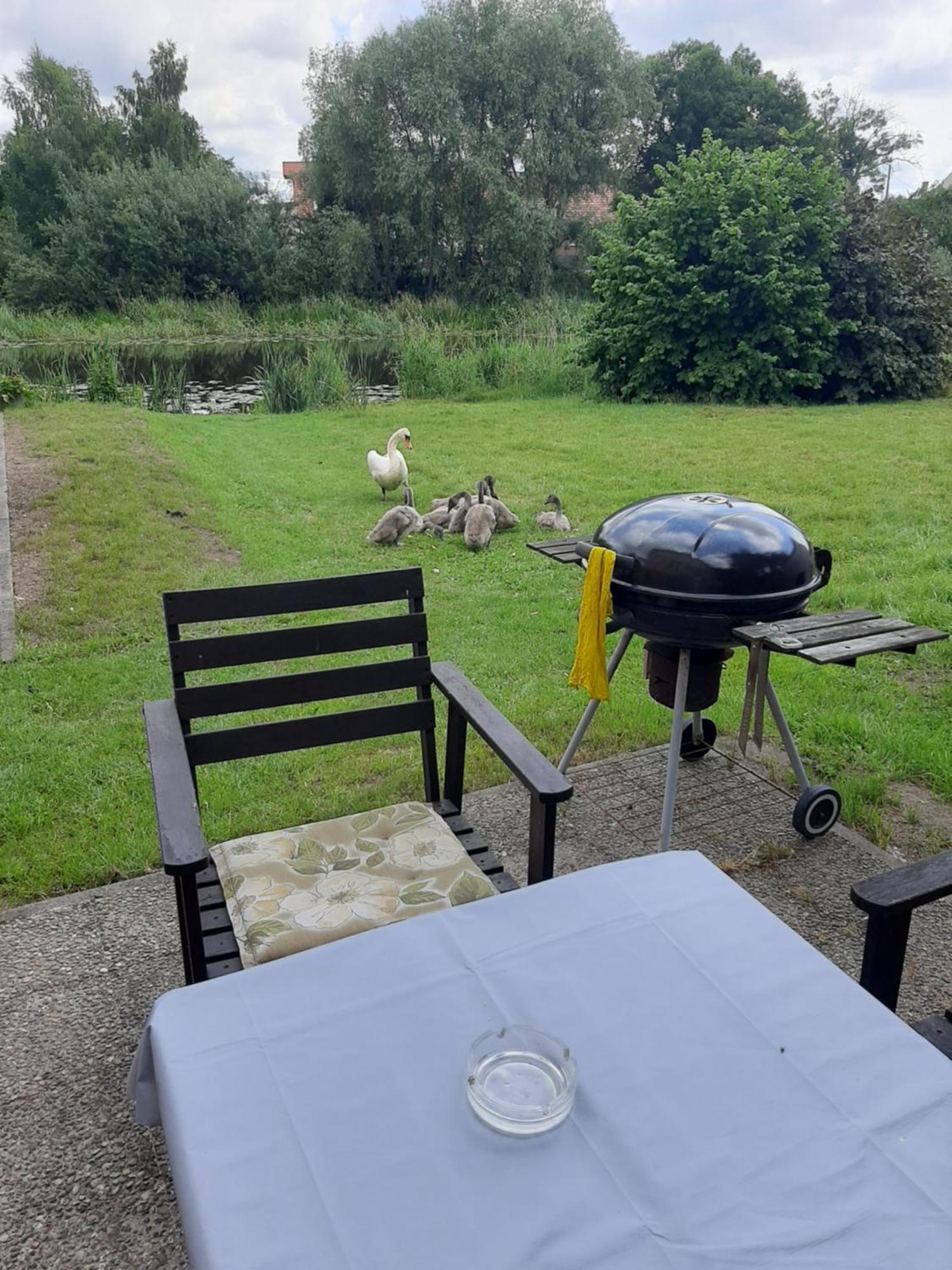 Apartament Nad Woda Marzecino Extérieur photo
